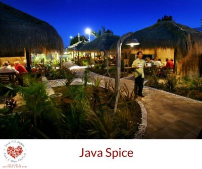 javaspice javaspice
